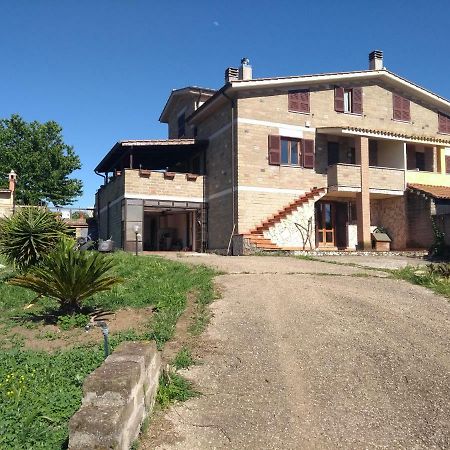 La Tana Di Stefano Hotel Anguillara Sabazia Kültér fotó